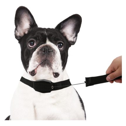 Lucky Leash - Ремче и поводник за миленици